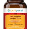 Comprar pure planet red marine algae plus -- 90 vegetarian capsules preço no brasil allergies allergy & sinus support medicine cabinet suplementos em oferta suplemento importado loja 5 online promoção -