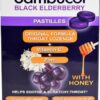Comprar sambucol black elderberry pastilles with honey -- 20 pastilles preço no brasil herbs & botanicals men's health suplementos em oferta willow herb suplemento importado loja 3 online promoção -