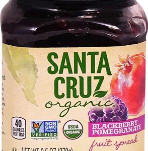 Geleia Orgânica Santa Cruz Frutas Amora Romã 255g - Sabor e Saúde