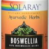 Comprar solaray boswellia -- 450 mg - 60 vegetarian capsules preço no brasil breakfast foods dry & cold cereals food & beverages granola cereal suplementos em oferta suplemento importado loja 3 online promoção -