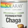 Comprar solaray organically grown fermented chaga dietary supplement -- 500 mg - 60 vegcaps preço no brasil food & beverages macaroni & cheese pasta suplementos em oferta suplemento importado loja 3 online promoção -