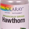 Comprar solaray organically grown hawthorn -- 425 mg - 100 vegcaps preço no brasil cholesterol hawthorn heart & cardiovascular herbs & botanicals suplementos em oferta suplemento importado loja 1 online promoção -