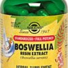 Comprar solgar boswellia resin extract -- 60 vegetable capsules preço no brasil boswellia herbs & botanicals immune support suplementos em oferta suplemento importado loja 1 online promoção -