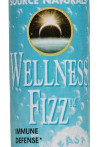Source Naturals Wellness Fizz™ Natural Berry -- 10 Wafers