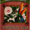 Comprar the mate factor organic yerba mate hibiscusl lime -- 20 tea bags preço no brasil apricots dried fruit food & beverages fruit suplementos em oferta suplemento importado loja 5 online promoção -