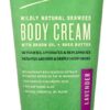 Comprar the seaweed bath co body cream lavender -- 6 fl oz preço no brasil bath & body care beauty & personal care body cream moisturizers & lotions suplementos em oferta suplemento importado loja 1 online promoção -