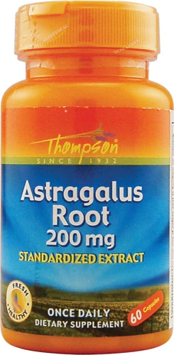 Thompson Astragalus Root 200mg - 60 Cápsulas - Suplemento para Imunidade