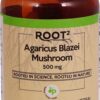 Comprar vitacost root2 agaricus blazei mushroom -- 500 mg - 90 capsules preço no brasil joint health suplementos em oferta vitamins & supplements suplemento importado loja 5 online promoção -