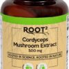 Comprar vitacost root2 cordyceps mushroom extract -- 500 mg - 60 capsules preço no brasil beauty & personal care deodorants personal care sticks suplementos em oferta suplemento importado loja 5 online promoção -