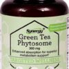 Comprar vitacost synergy green tea phytosome -- 300 mg - 90 capsules preço no brasil diet & weight green tea herbs & botanicals suplementos em oferta suplemento importado loja 1 online promoção -