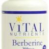 Comprar vital nutrients berberine -- 200 mg - 60 capsules preço no brasil condiments food & beverages simmer & seasoning sauces suplementos em oferta suplemento importado loja 3 online promoção -