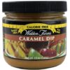 Comprar walden farms calorie free dip caramel -- 12 oz preço no brasil condiments dessert toppings food & beverages suplementos em oferta suplemento importado loja 1 online promoção -