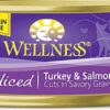 Comprar wellness canned cat food grain free sliced turkey salmon -- 5. 5 oz preço no brasil libido men's health sexual health suplementos em oferta vitamins & supplements suplemento importado loja 5 online promoção -