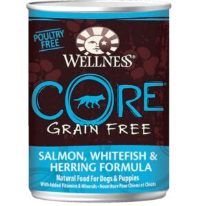 Comprar wellness core® canned dog food grain free salmon whitefish & herring formula -- 12. 5 oz preço no brasil dog food & treats pet health suplementos em oferta wet food suplemento importado loja 65 online promoção -