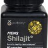 Comprar youtheory mens shilajit -- 60 capsules preço no brasil green foods super foods suplementos em oferta vitamins & supplements whole food supplements suplemento importado loja 5 online promoção -