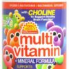 Comprar yum v's multi vitamin plus mineral formula jellies yummy grape -- 60 chewables preço no brasil almonds food & beverages nuts suplementos em oferta suplemento importado loja 3 online promoção -
