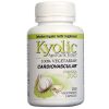 Comprar kyolic, fórmula kyolic® extrato de alho - 100 cápsulas 100% vegetarianas preço no brasil alho suplementos suplemento importado loja 1 online promoção - 16 de agosto de 2022