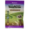 Comprar bluebonnet nutrition super earth orgânico veggieproteína powder, chocolate - 8 packets preço no brasil proteína proteína vegetal suplementos de musculação suplemento importado loja 13 online promoção -