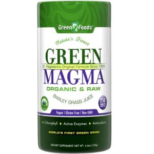Comprar green foods, verde magma 500 mg - 250 tabletes preço no brasil alimentos verdes combinação de alimentos verdes suplementos suplemento importado loja 41 online promoção -