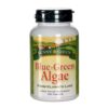 Comprar sunny green algas verdes azuis 120 tabletes preço no brasil algas verdes azuis alimentos verdes suplementos suplemento importado loja 1 online promoção -