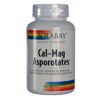 Comprar solaray cal-mag asporotates 120 cápsulas preço no brasil aminoácidos carnitina suplementos suplemento importado loja 3 online promoção -