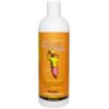 Comprar organic excellence, shampoo orgânico, hortelã selvagem - 572 ml (16 fl oz) preço no brasil banho & beleza cuidados pessoais hemorróidas suplemento importado loja 9 online promoção -