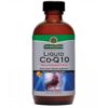 Comprar nature's answer, líquido co-q10 - 120ml (4 oz) preço no brasil coq10 suporte ao coração tópicos de saúde suplemento importado loja 7 online promoção -