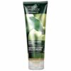 Comprar desert essence, shampoo orgânico, maçã verde & gengibre - 237 ml preço no brasil banho & beleza cuidados com os cabelos shampoo para volume xampu suplemento importado loja 1 online promoção -