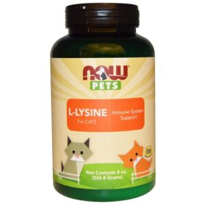 Comprar now foods, l-lisina para gatos - 226. 8 g preço no brasil cuidado animal vitamina animal vitaminas para gato suplemento importado loja 17 online promoção -