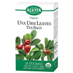 Comprar alvita, chá orgânico de uva ursi - 24 saquinhos preço no brasil bebidas casa e produtos alimentícios chá chá medicinal produtos alimentícios suplemento importado loja 21 online promoção -
