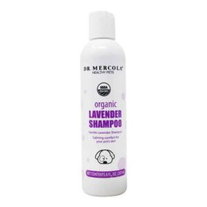 Comprar dr. Mercola, shampoo de lavanda orgânica para cachorros - 237 ml preço no brasil acessórios para animais cuidado animal suplemento importado loja 33 online promoção - 17 de agosto de 2022