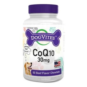 Comprar health thru nutrition dogvites coq10 for dogs 30mg - 60 chewables preço no brasil cuidado animal vitamina animal vitaminas para cachorro suplemento importado loja 83 online promoção - 7 de julho de 2022