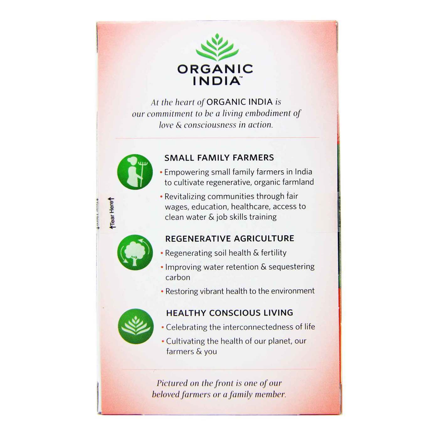 Organic India, Chá de Tulsi Tummy - 18 Saquinhos de Chá - Imagem 3