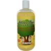 Comprar xampu e sabonete corporal orgânico nature's bebê baunilha-tangerina 473 ml preço no brasil crianças e bebês shampoo para bebê suplemento importado loja 1 online promoção -